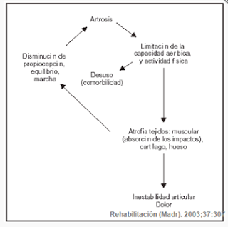 Artrosis
