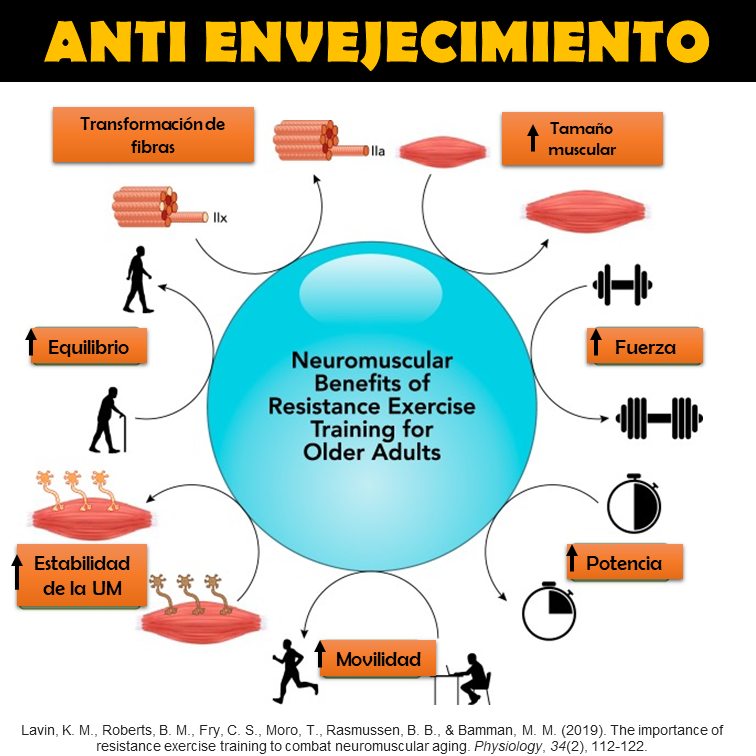 Entrenamiento de fuerza en mayores